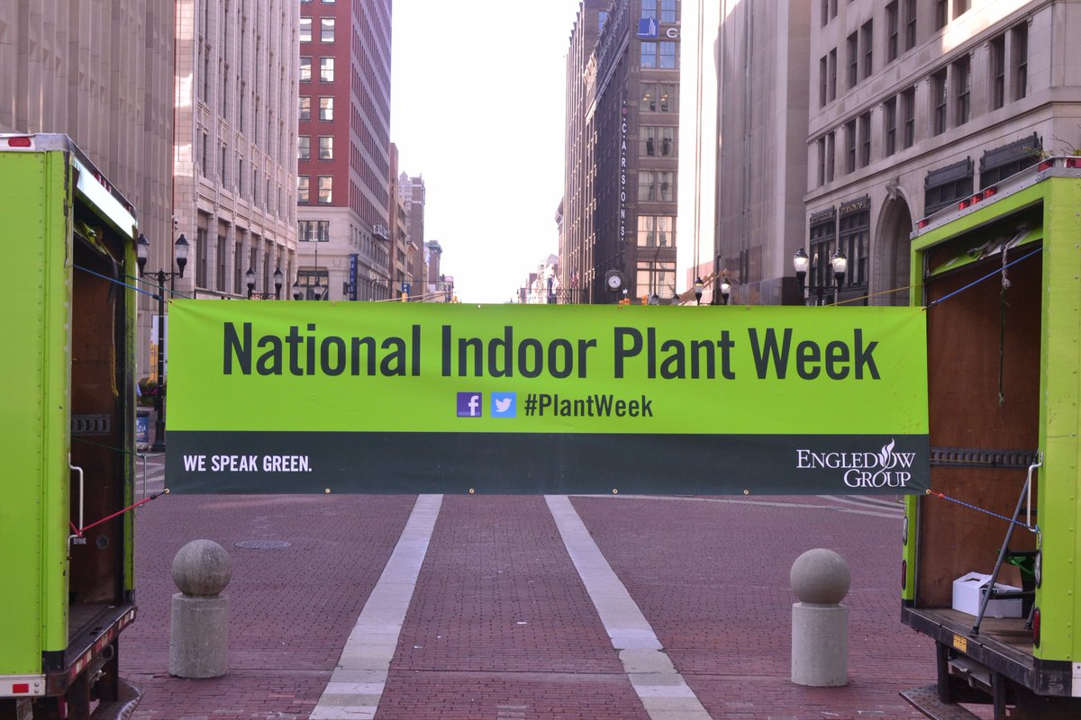 Less than 1 month from our NIPW 2017 3k plant give-a-way. See you on 9/13/2017 #Plantweek #NIPW2017