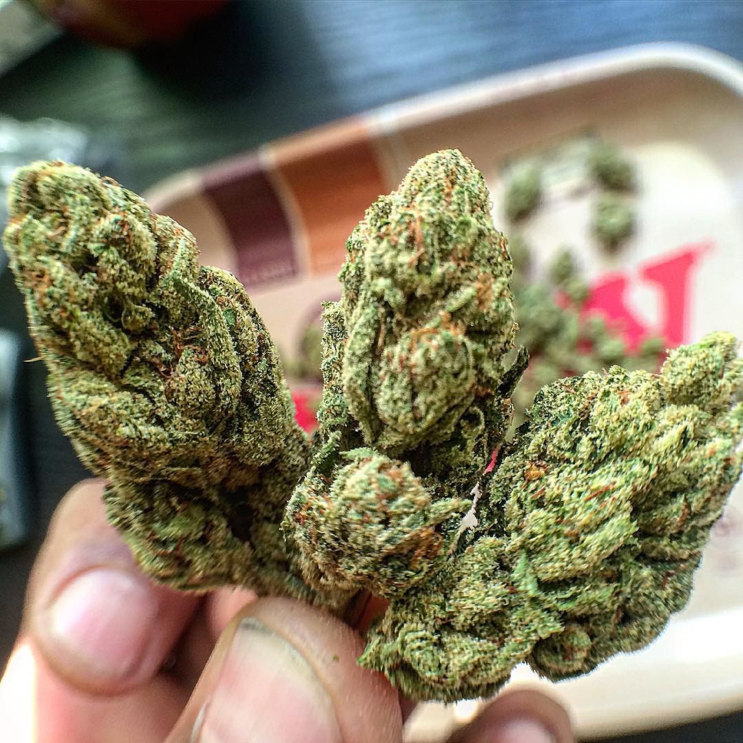 HDnugs's tweet photo. Up close &amp; personal https://t.co/Vx0AyWUDfx