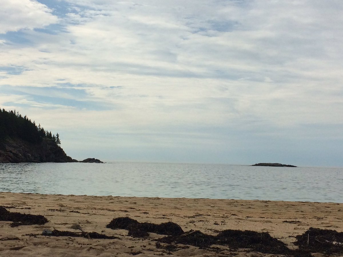 RebeccaJ_Allen's tweet image. #amwriting
#alittlebit