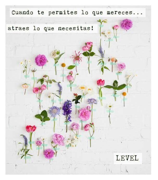 centrolevel's tweet image. centrolevel.com.ar     
consultas@centrolevel.com.ar
1140346375 #centrolevel #salud #Bienestar #Belleza #BsAs #BuenFinde