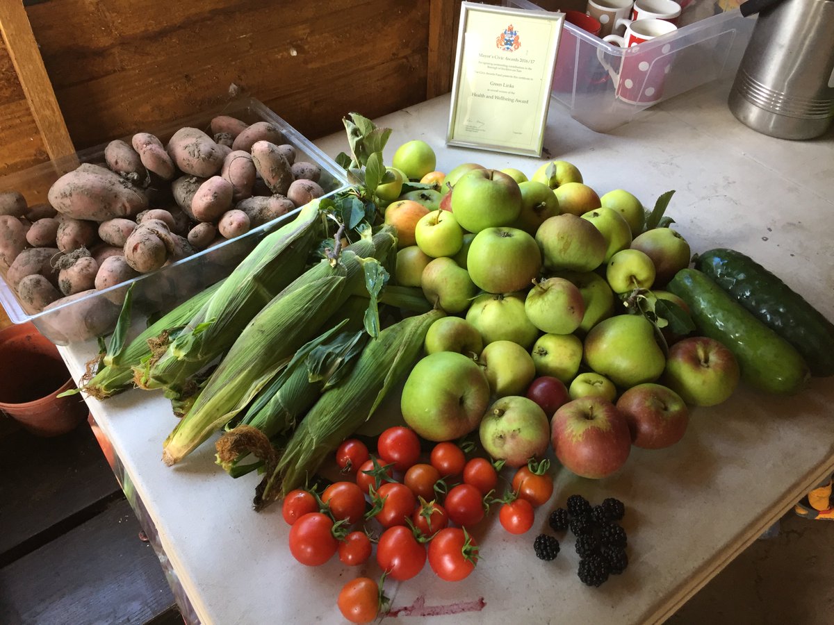 A fantastic amount of fresh produce, grown and harvested by our Green Links group :) Well done guys! #growyourown #HealthyFood @GWKNE
