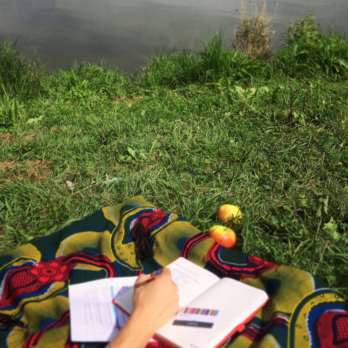 JoinKanam's tweet photo. So lässt es sich bei der Vereinsarbeit aushalten. 🌞#nonprofitday Euch allen ein schönes #Wochenende &amp; #letthesunshinein! https://t.co/wOuqiBL1AR