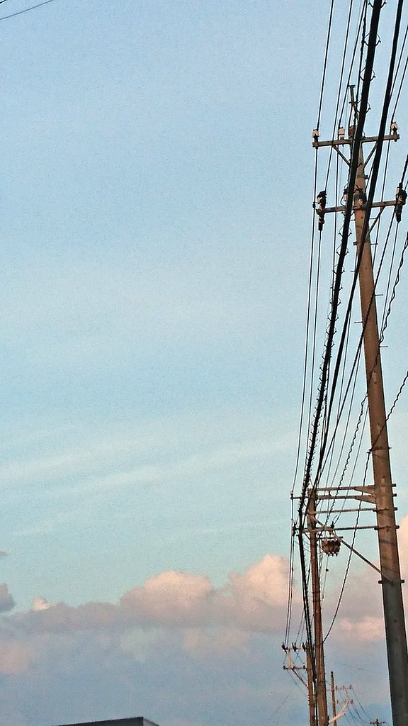 DJ05312416's tweet photo. #ファインダー越しの私の世界
#写真好きと繋がりたい
#写真で伝えたい私の世界
#帰り道
#雨上がり https://t.co/OWHPZGdsHp