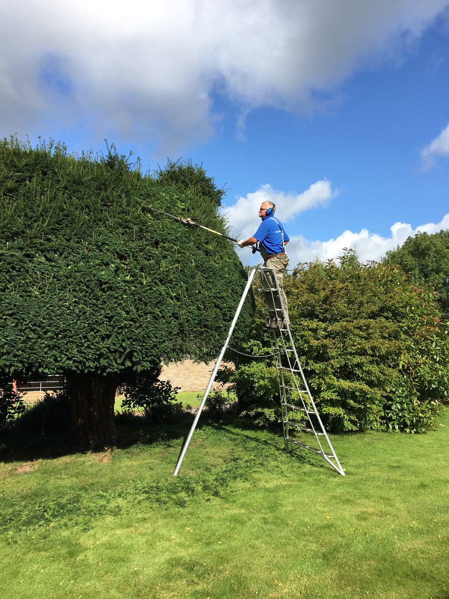 jameshydegdns's tweet photo. Big Birds annual prune, made easier with a Niwaki Tri Pod EnPro @niwakijake fantastic bit of kit. Being helped by @JessCollins_IOW https://t.co/E5fbPY39R8