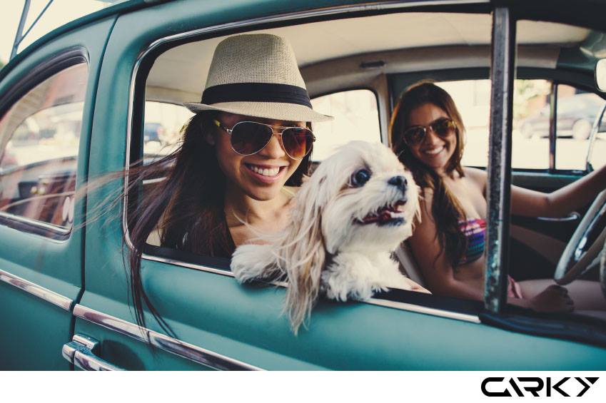 C4rky's tweet photo. The weekend is coming and you are in Athens? Rent the car of your choice with #Carky and organize a road trip with your friends! #carrental https://t.co/m6kPOLzHkN