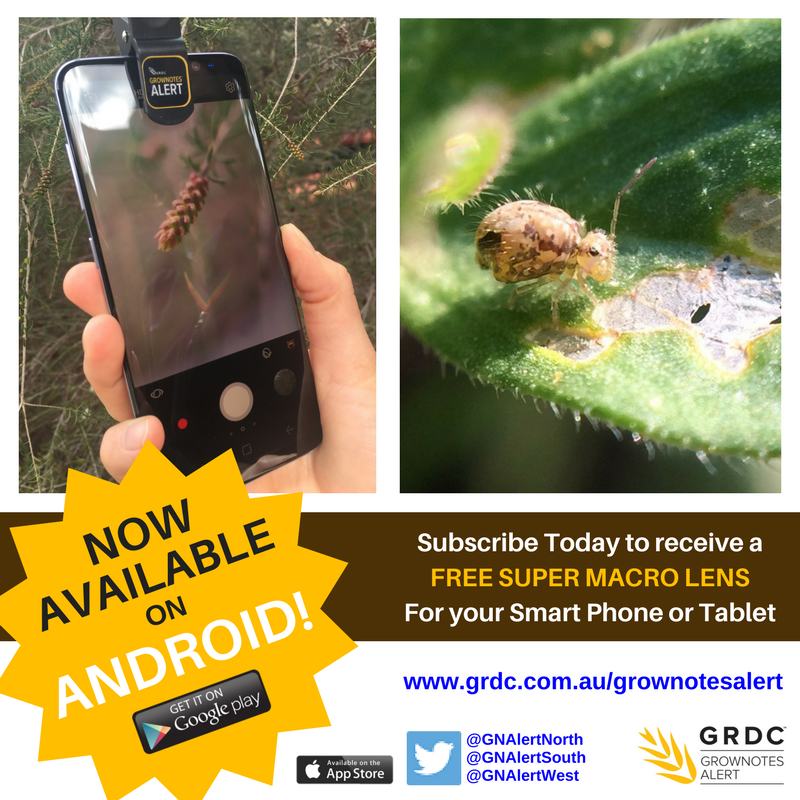 VicCropDiseases's tweet photo. Are you a #GrowNotesAlert subscriber and an Android user? You can now download the App on Google Play 📱🌾 https://t.co/KRcybDBXqz https://t.co/PxPmycsiQG