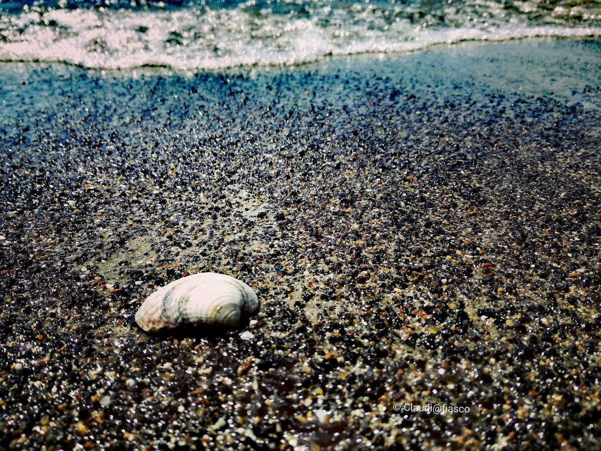 merdeme67's tweet photo. ~Where the wave dies and takes the identity,again ~(My own)
#sea #summertime #shellfish  #waves #bemyonly #FridayFeeling Morning sunshines https://t.co/qIn0kxJaid