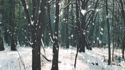 Lupiter92's tweet image. I'm so ready for cold weather!❄️🌨☃️ static.tumblr.com/7f365fa6a4cb0d…