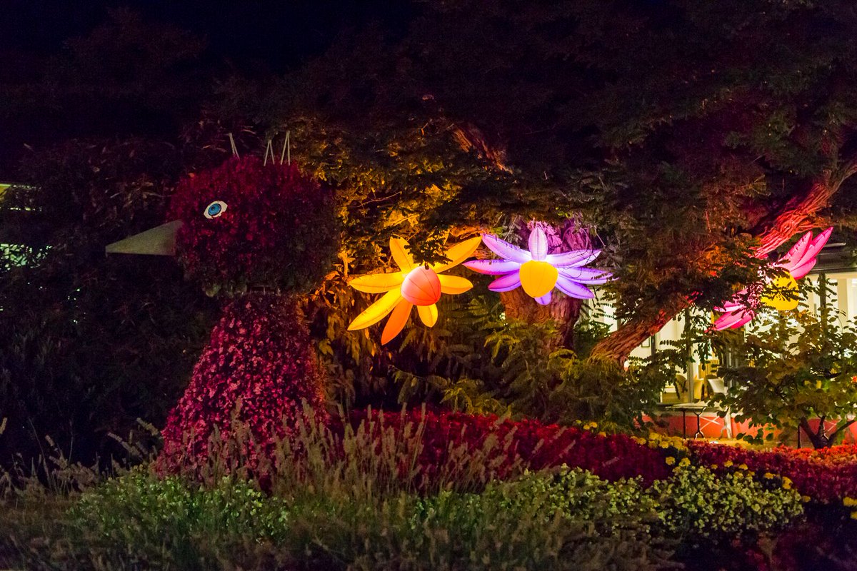 Das #SalzundLichterfest kann kommen. Wir freuen uns auf euch! 
#harz #meinNiedersachsen #lichter #musik