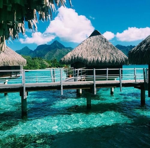 Maldives 😎🌴🏝