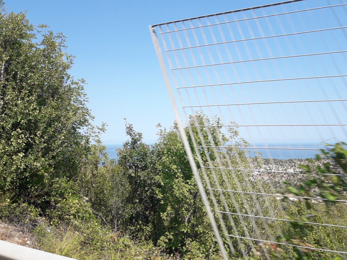 germana75's tweet photo. viaggio in auto..panorama mozzafiato..metto il cel in posa..scatto..ed ecco il solito cazzo di albero che si piazza davanti.. https://t.co/vhB1IdiT4N