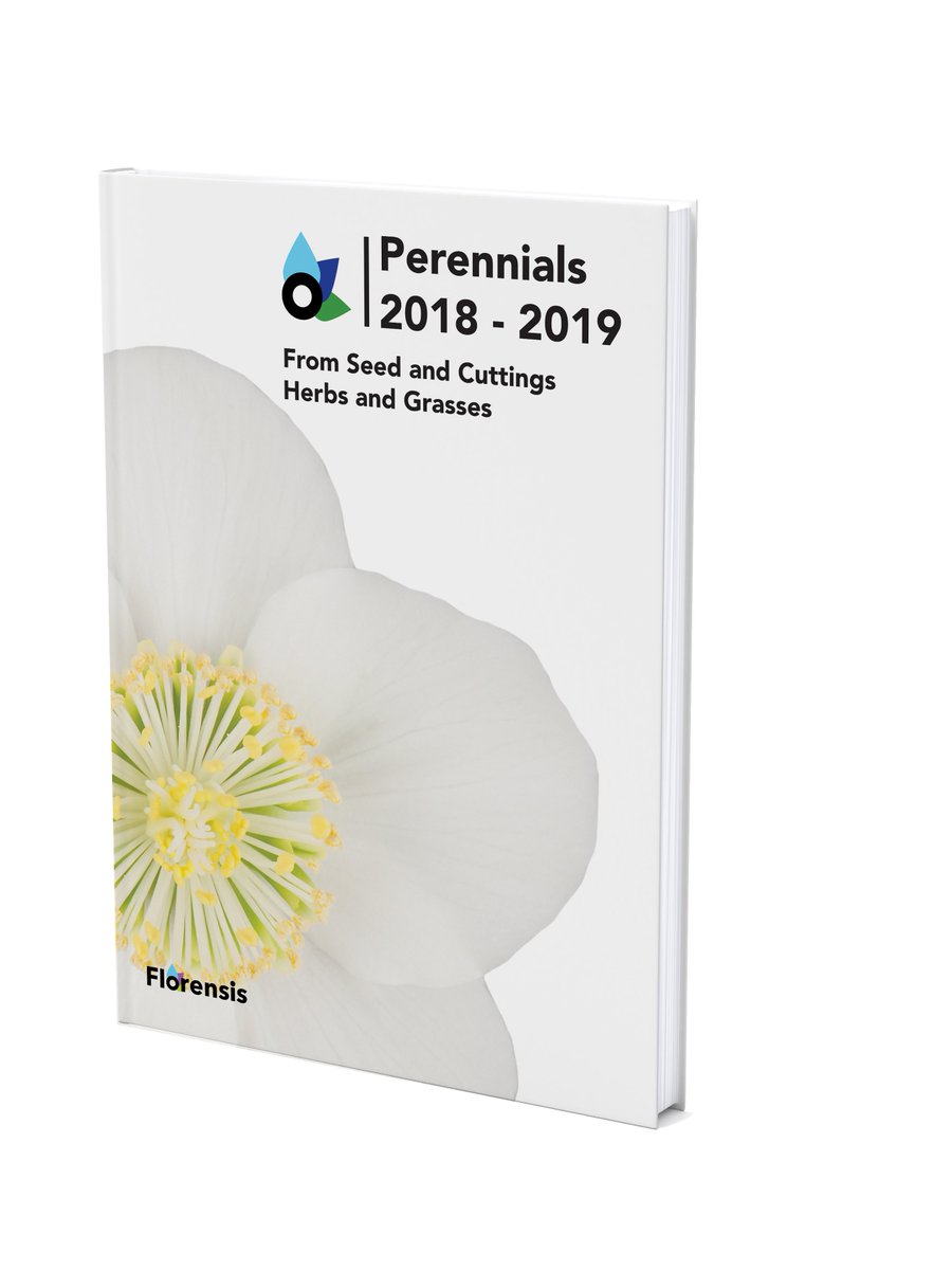 Florensis tweet media