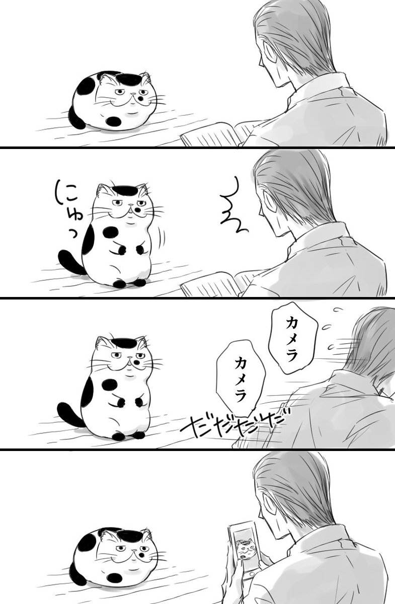 【猫漫画の番外編です】ふくまるが立った 