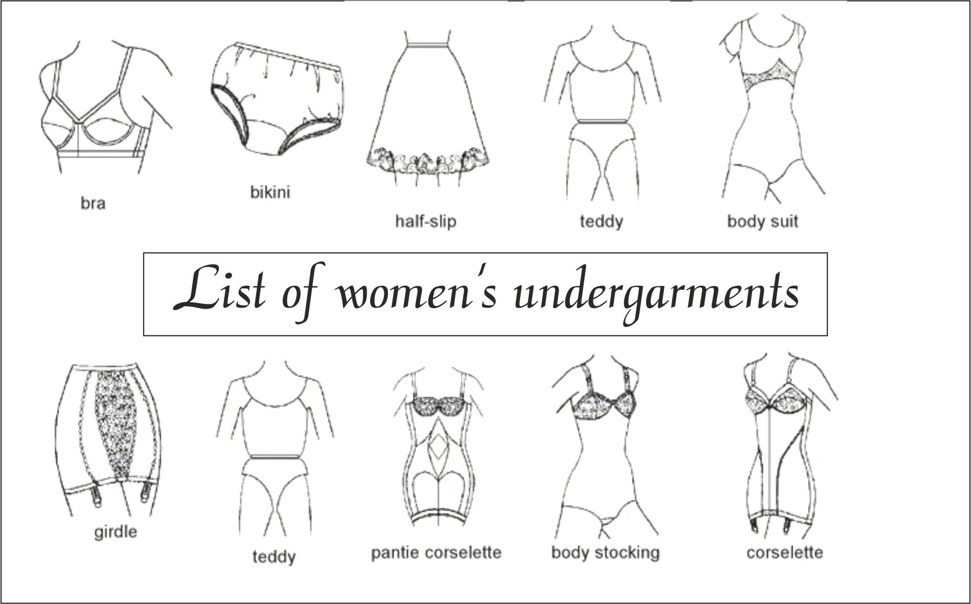Intimohub on X: List of women's undergarments