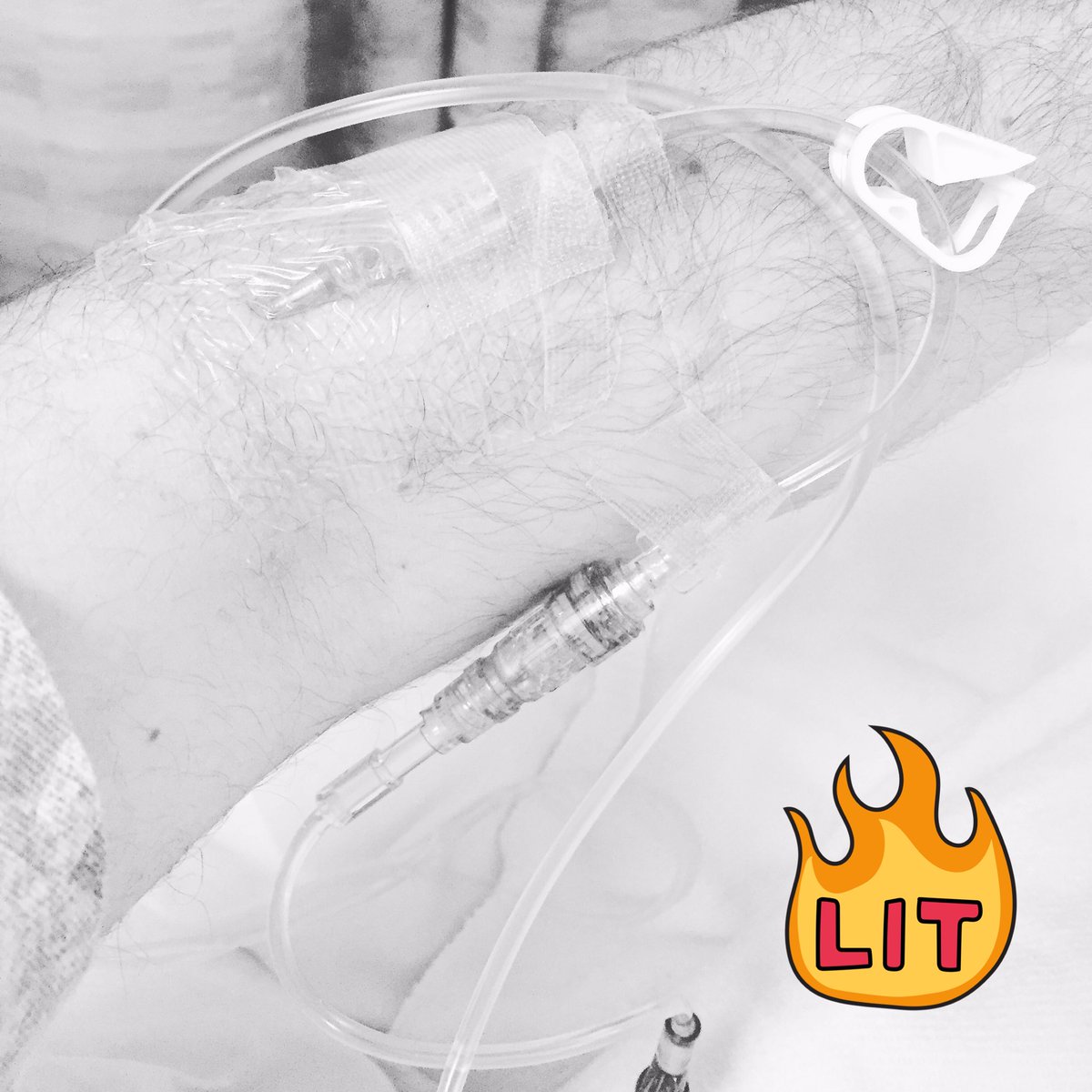 JasonHydra's tweet image. 👊🏼