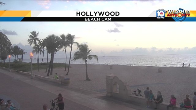 TGIF!!! Great way to start the day head to Hollywood beach, before it gets to hot! https://t.co/8FsVINCrBn