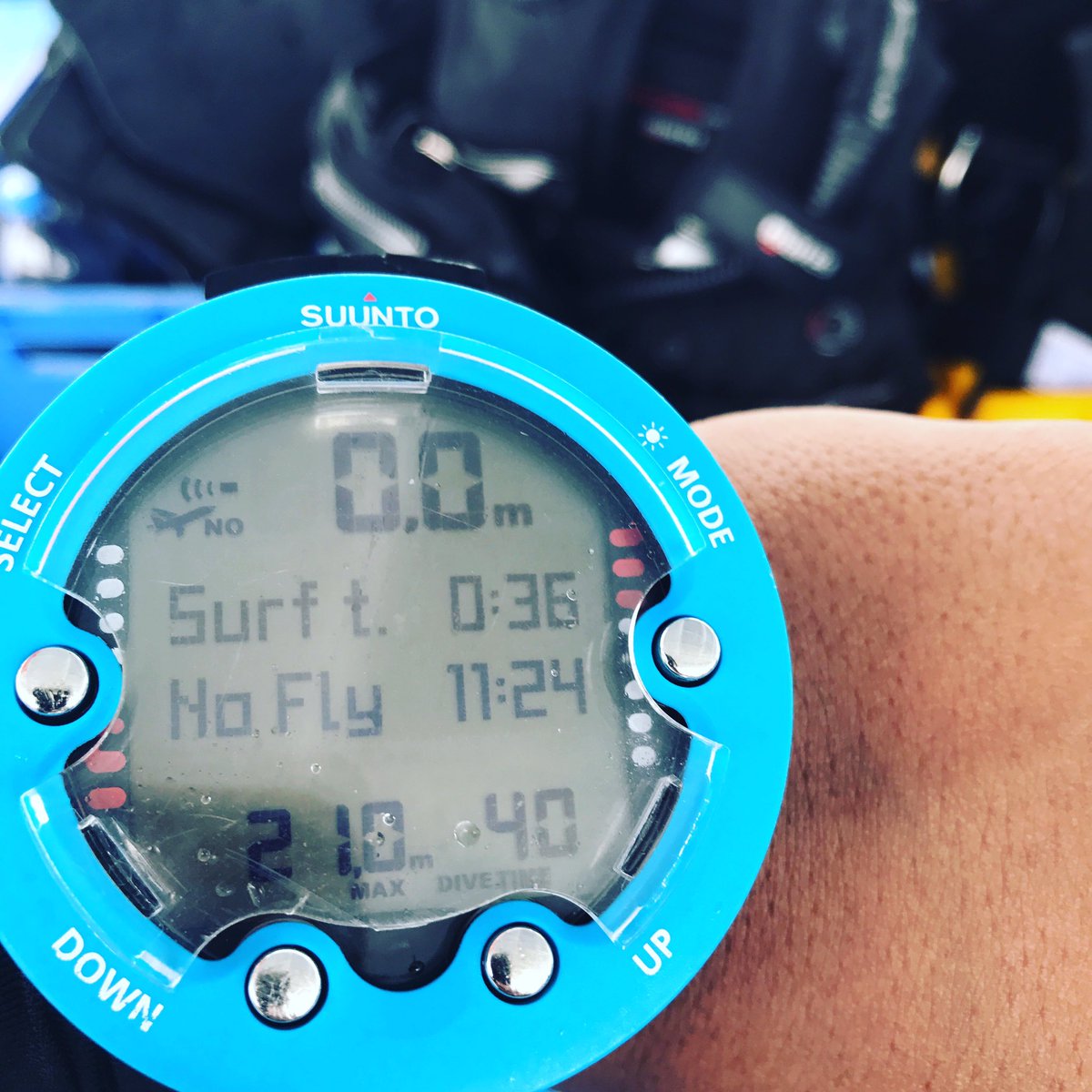 DrM_Ashraf's tweet photo. Vitamin sea dose for the week!
Thanks for the #HappyBubbles @DiveDesk ππΎ
#WeekendDive #DriftDive #Sea #Fun #Maldives #PADI #ProjectAware https://t.co/E6Q35LBPCC