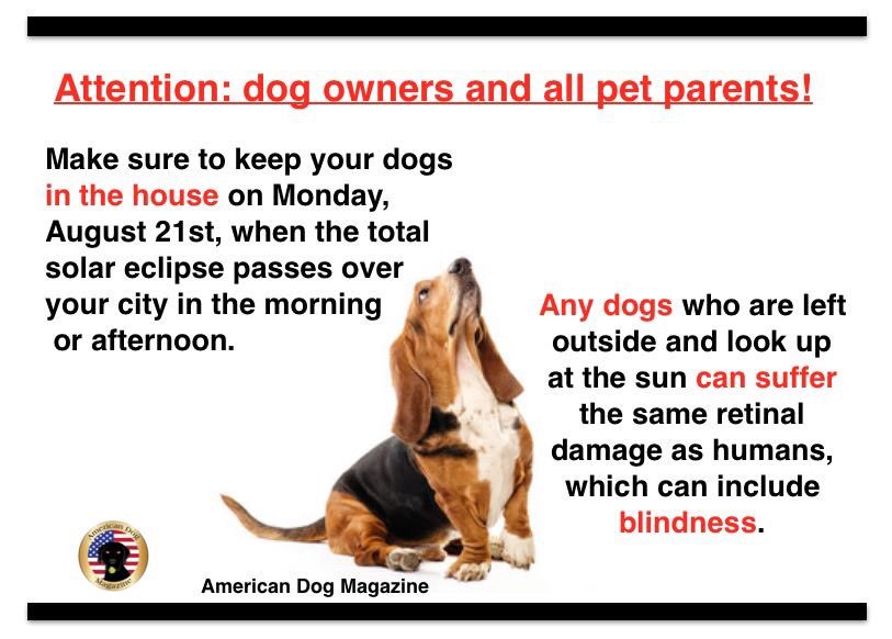 BlueAquaculture's tweet photo. IMPORTANT: Make sure your pets are inside during solar eclipse this coming Monday!!! 🌞🌚👀🚫🐶🐱 #totaleclipse #eclipse2017 #dogsoftwitter #pets https://t.co/pfdKRaDMwA