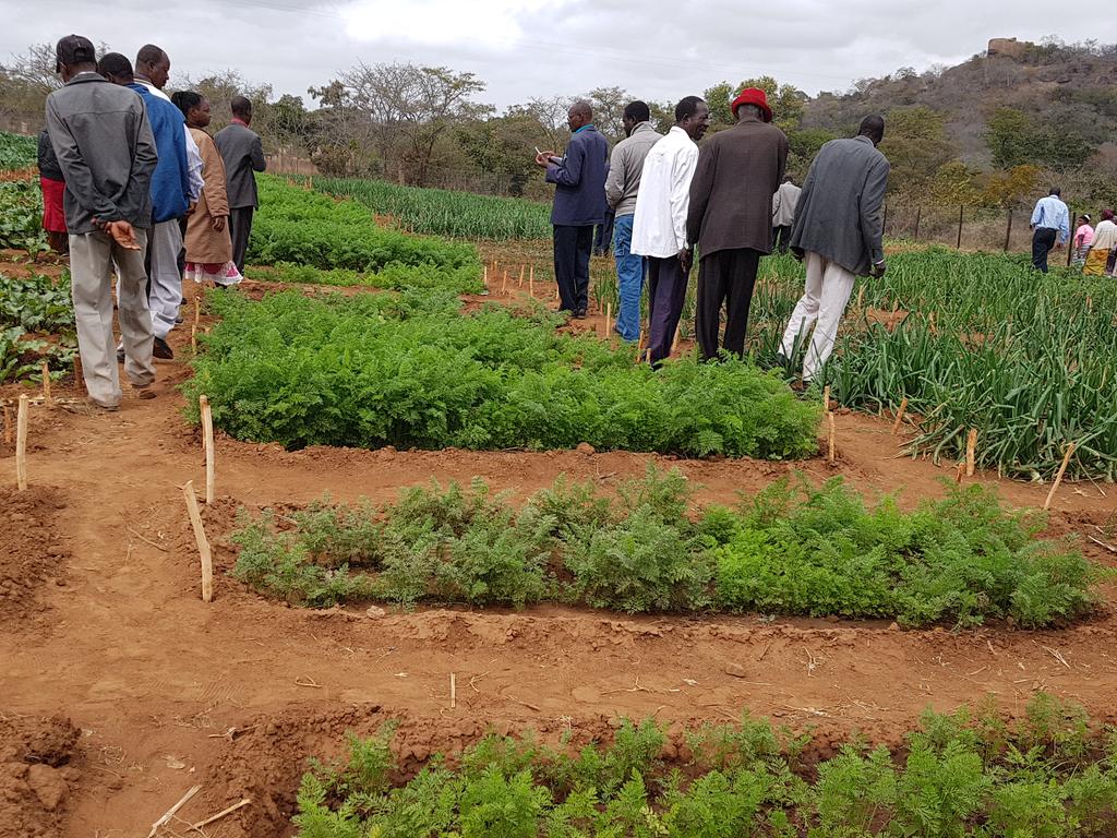 Lutheran Development tweet media