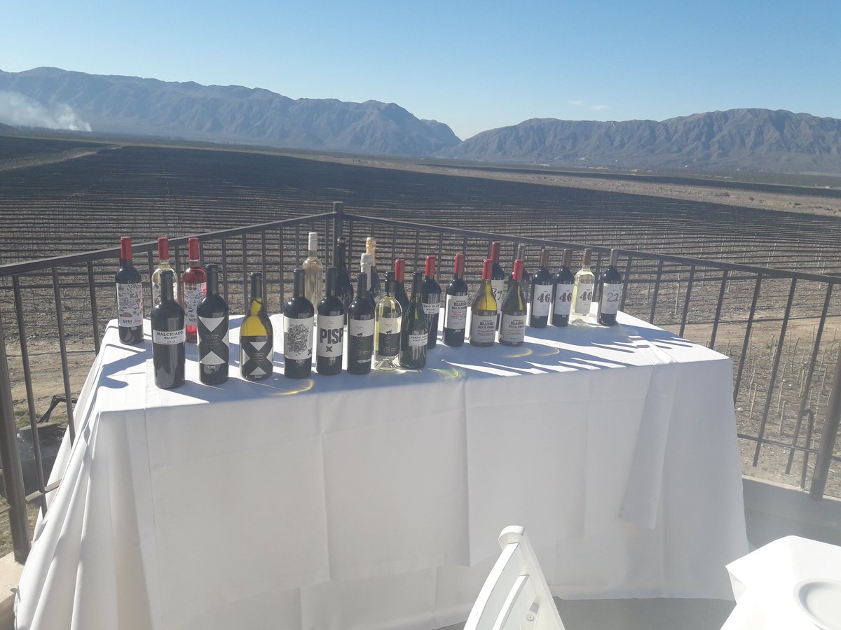 Algo de lo que se probó en Valle de Pedernal #descorchados2018