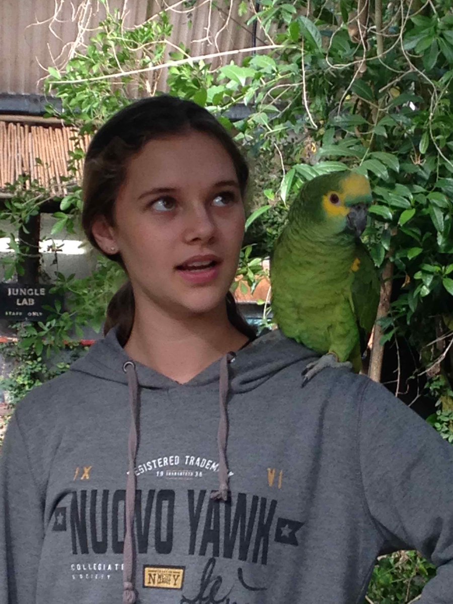 Animal Sanctuary @Butterfly World tweet media