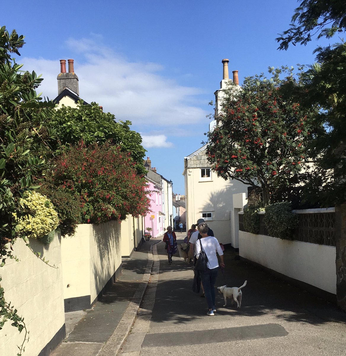 🇺🇸Penny McCrea 🇬🇧 🇪🇺 tweet media