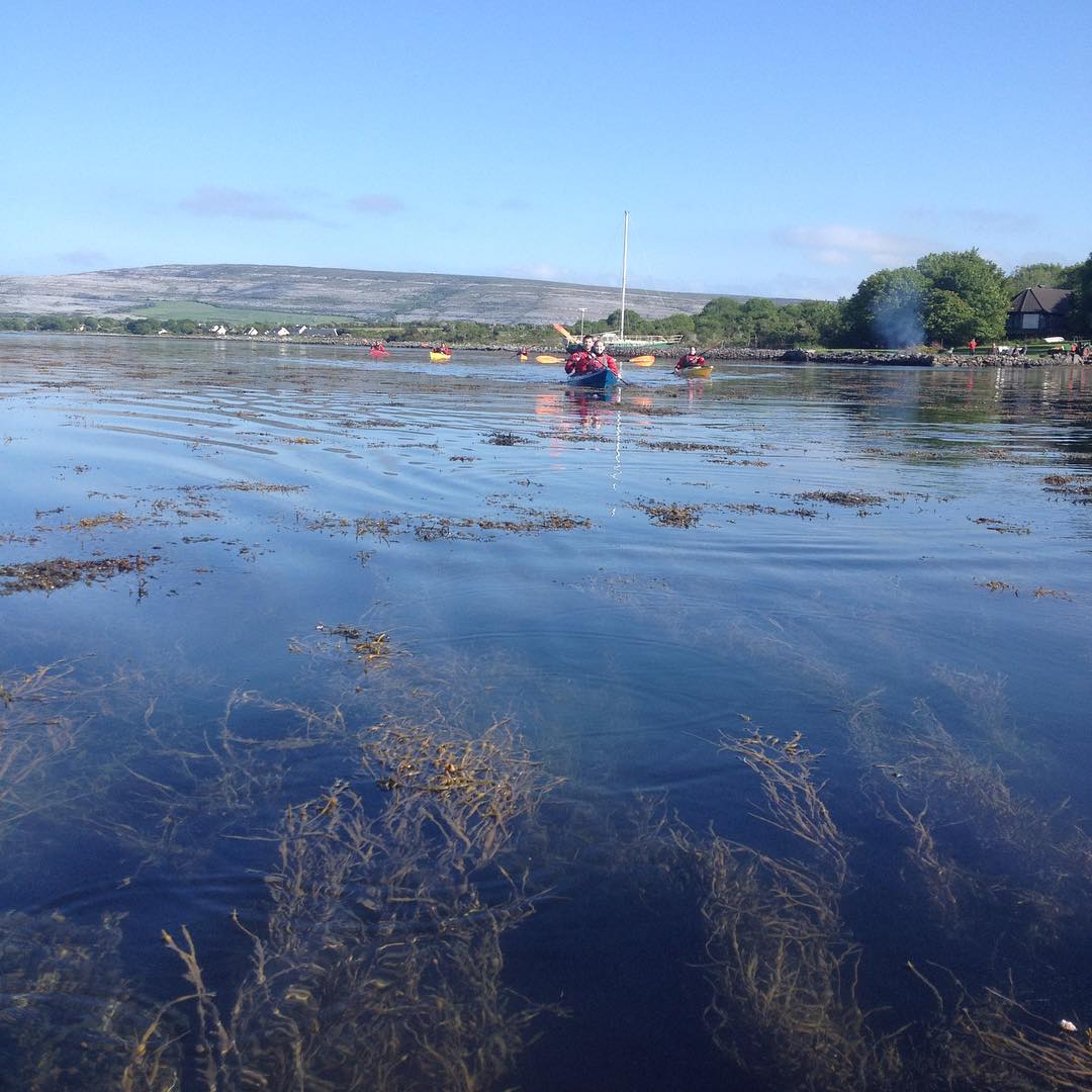 Very stormy out there today, however, winds look to die off tomorrow, so back on the water in Ballyvaughan all day tomorrow! 0851195489