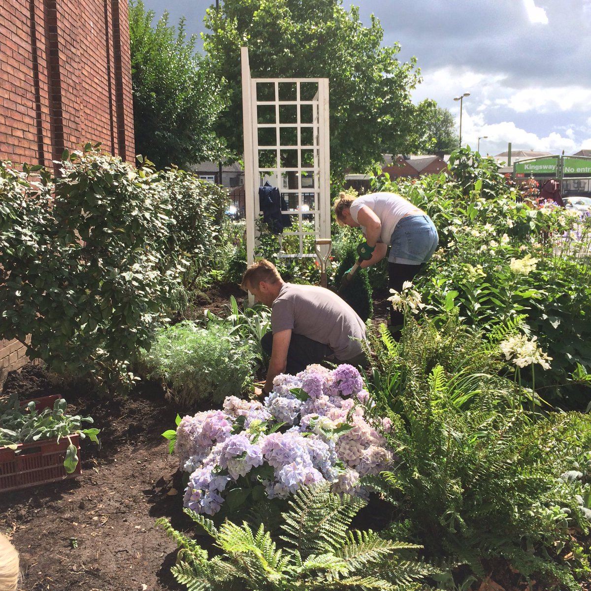 annafrancisart's tweet photo. One border cleared and another filled in the #spoderosegarden today #blueitalian #progress #sot2021 @AirSpaceGallery https://t.co/el0rSGRwOF