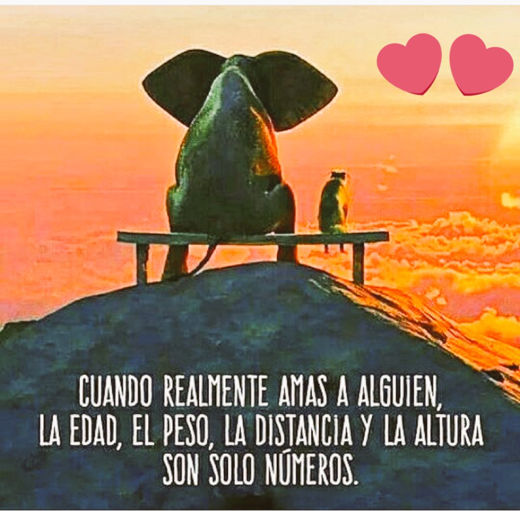 tomemgio's tweet photo. @fabietto968 @leadintogold @MarcoLXIX @DavLucia @ivanzena976 @AnnaPisaantonio @lory56lo @MgGabry @Fix_55  buongiorno a voi!!! https://t.co/eVyKfbA4hE