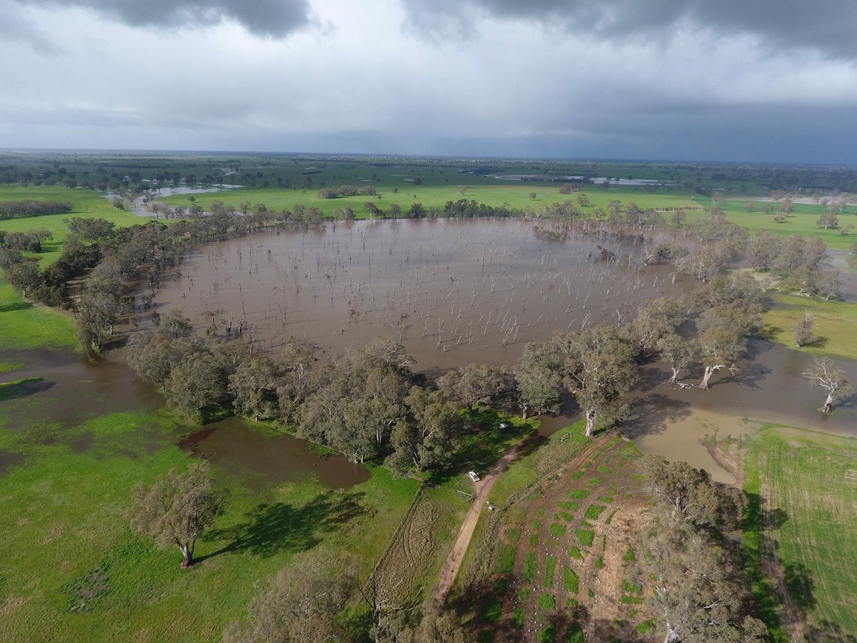 ajshepherd01's tweet photo. Mullinger Swamp @Kyby full &amp; overflowing. Fair to say 90 mm in last 2-3 weeks we're a bit wet. @JamesHeff80 @abcsoutheastsa #Mullingerswamp https://t.co/XmuIfgsw0k
