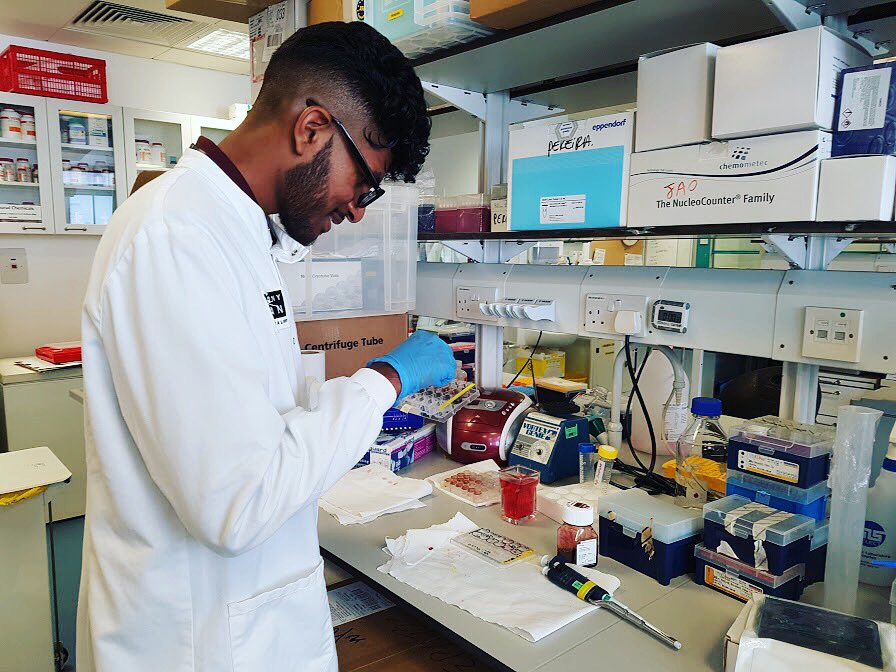 in2scienceUK's tweet photo. Thank you @pilar_acedo for hosting 2 #in2scienceUK students this summer at the #UCL #ILDH and Division of Surgery. #getin2science https://t.co/6MNuR8Ji9b