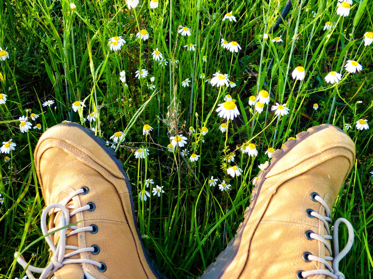 Have you made the most of your Summer? It's almost over! Get outside and enjoy the weather before it's over! #SteamboatSummer