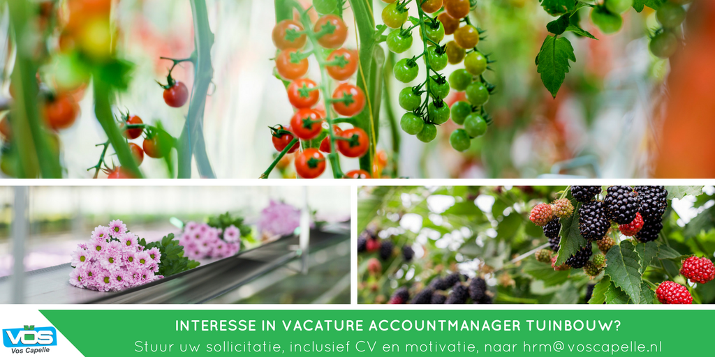 Wij zijn op zoek naar een #accountmanager #tuinbouw: hhttp://bit.ly/vacature-accountmanager-tuinbouw. #graagdelen #vacature