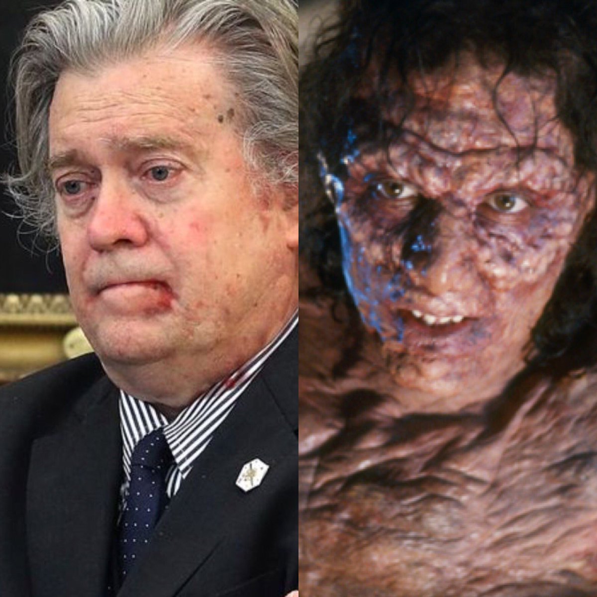 Now Bannon can focus on what he truly loves: turning into The Fly.