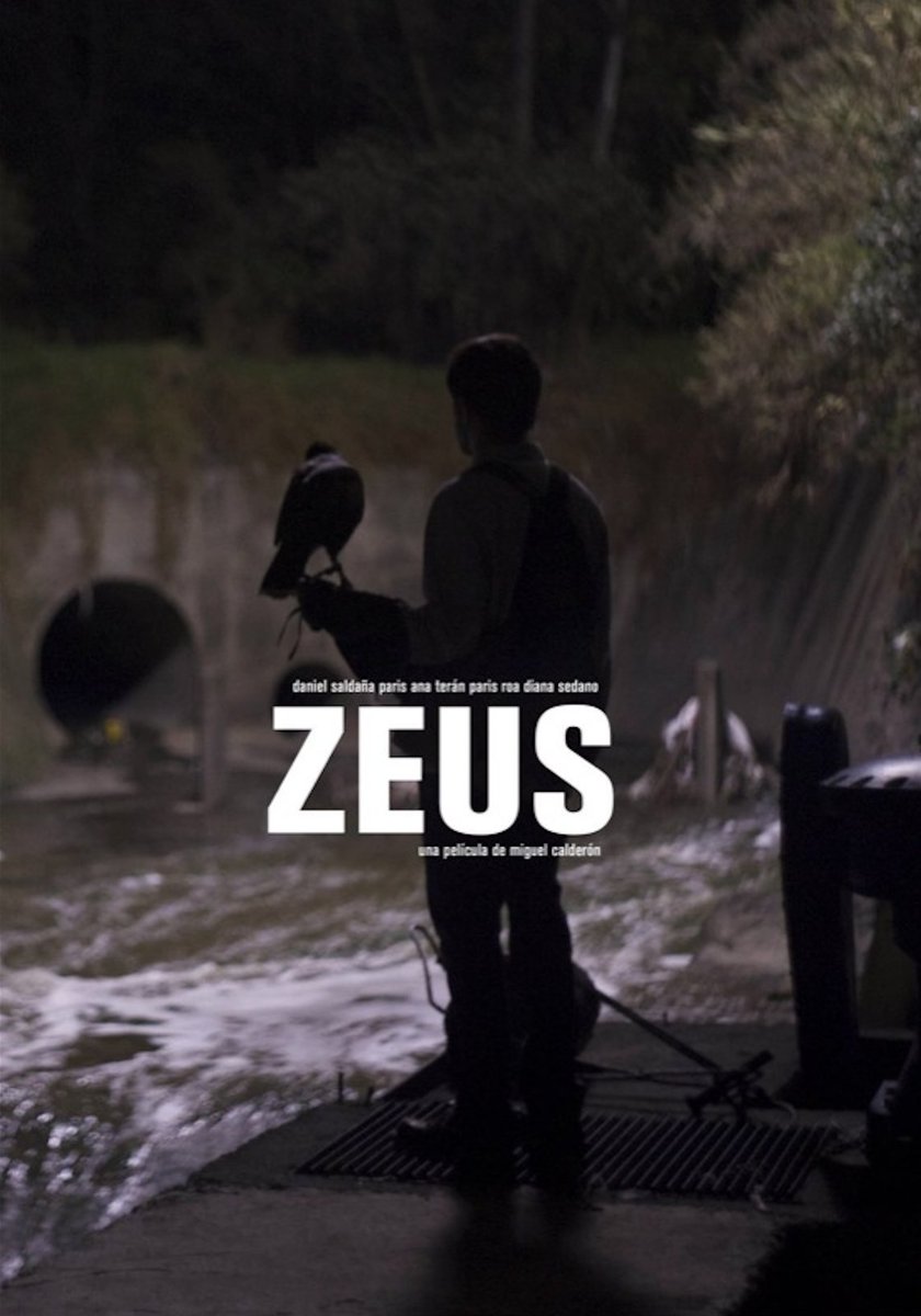 Paris Roa (@roaparis) | Twitter