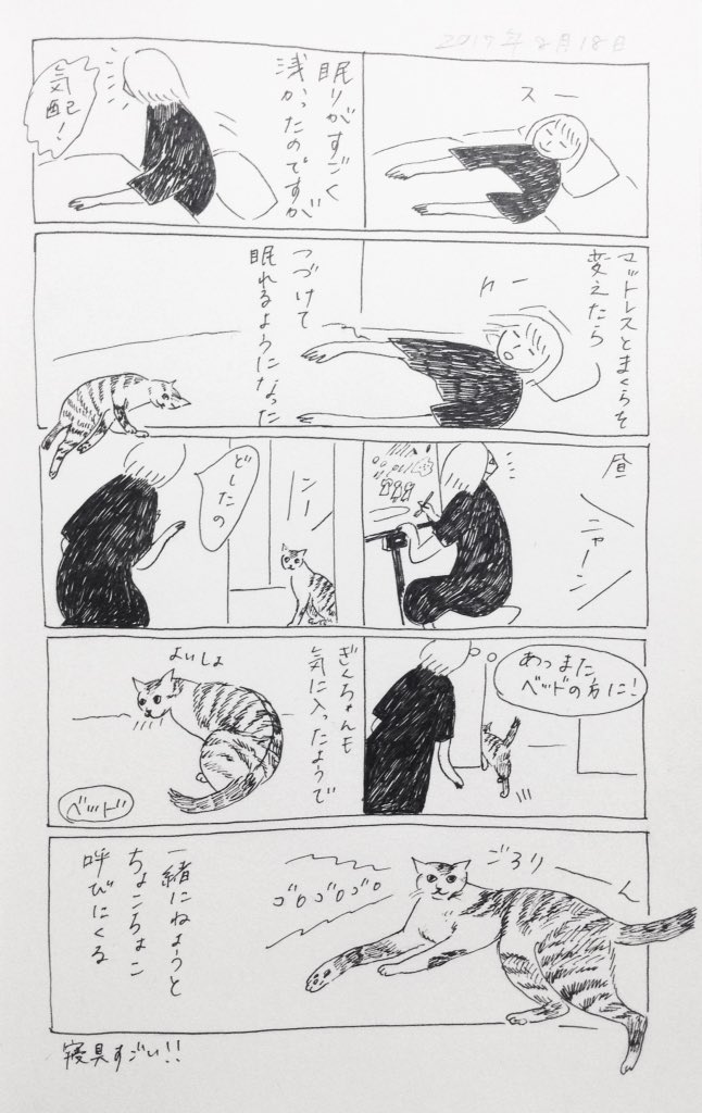 2017/8/18のぎんちゃん  #今日のぎんちゃん 