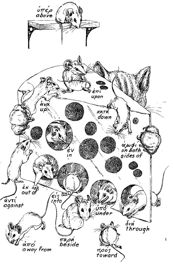 Stephen Beck on Twitter: "Greek Prepositions with Mice  https://t.co/CUDdHUThFE" / Twitter