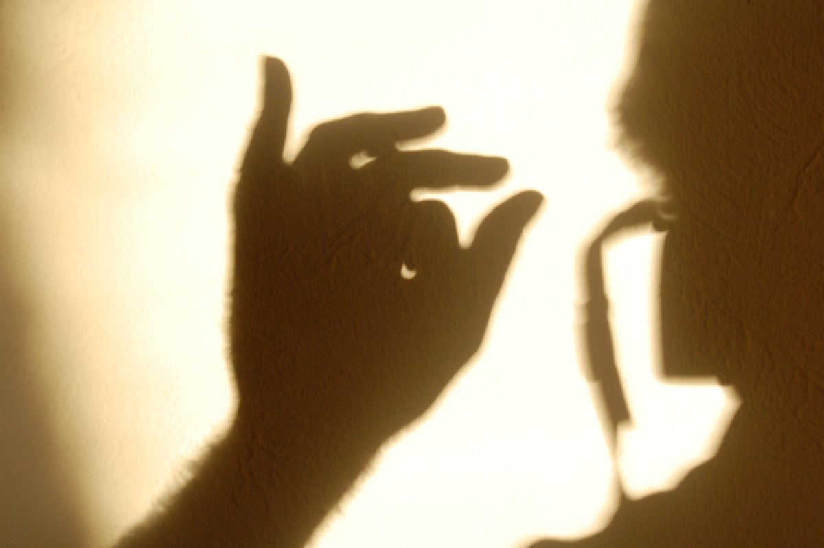 lifehacker's tweet photo. Forget special glasses. The best way to view the eclipse is with a DIY pinhole projector, or even  your bare hands: https://t.co/BgIsHDyFpp https://t.co/ecDS2OijOG