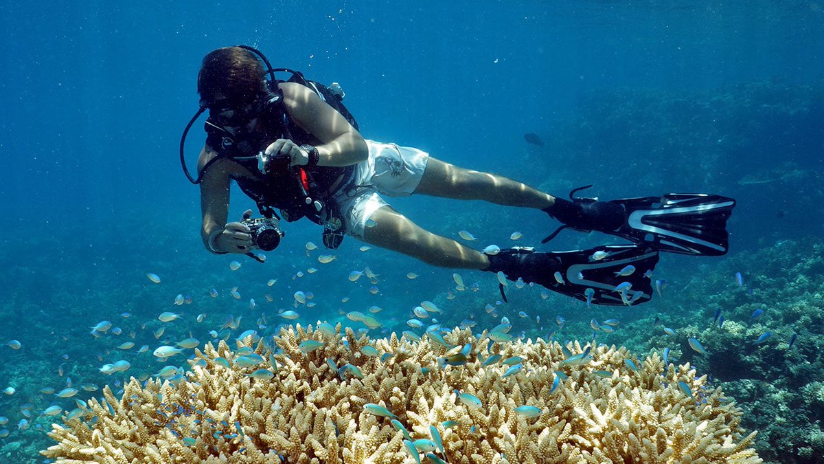 Greenwichdiving's tweet photo. #Altea - Un Agradable #Microclima Todo El Año. 

https://t.co/GKAAsuzApI https://t.co/OH0i2vPOTJ