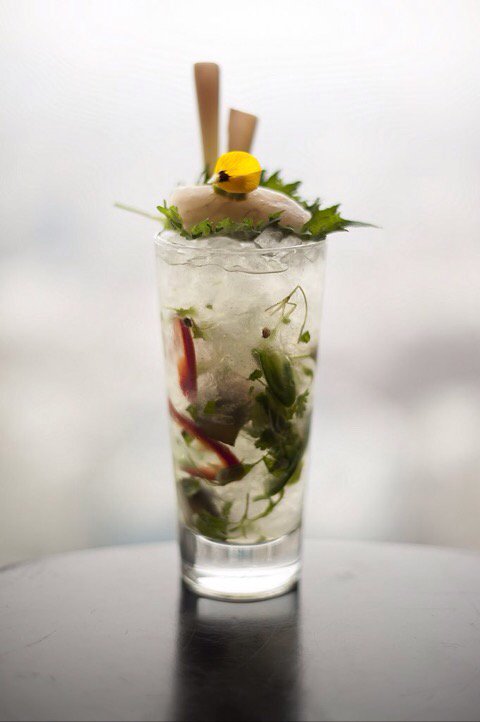 Mark Avery living life in Portugal tweet media