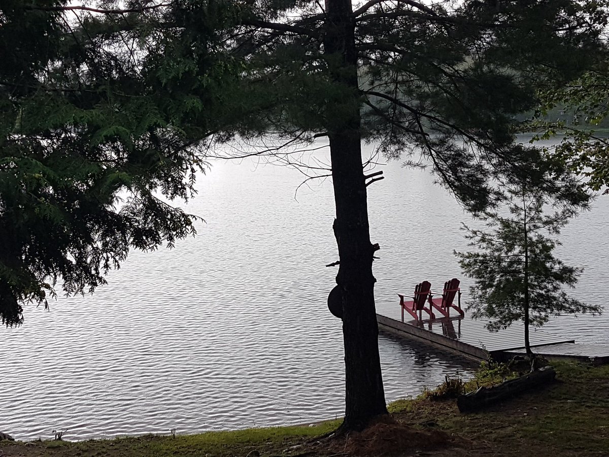 Turns1916Rob's tweet photo. #LIttleWhiteFish.  Pour all you want. Still most beautiful place in the world. #Muskokas https://t.co/NiYMvpiBp3