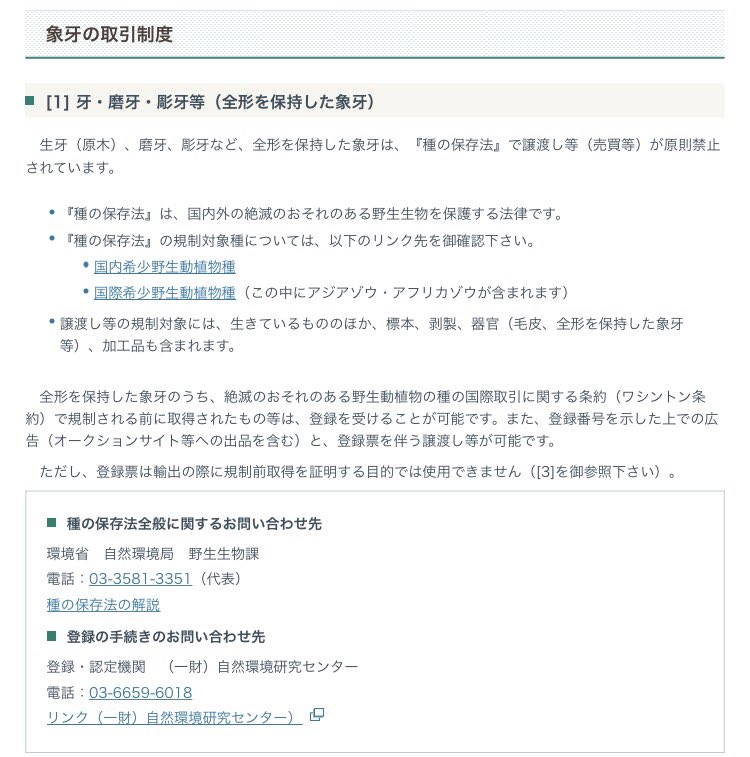 金髪起業家ヒカル Kinnpatuhikaru Twitter 金髪起業家ヒカル Kinnpatuhikaru Twitter