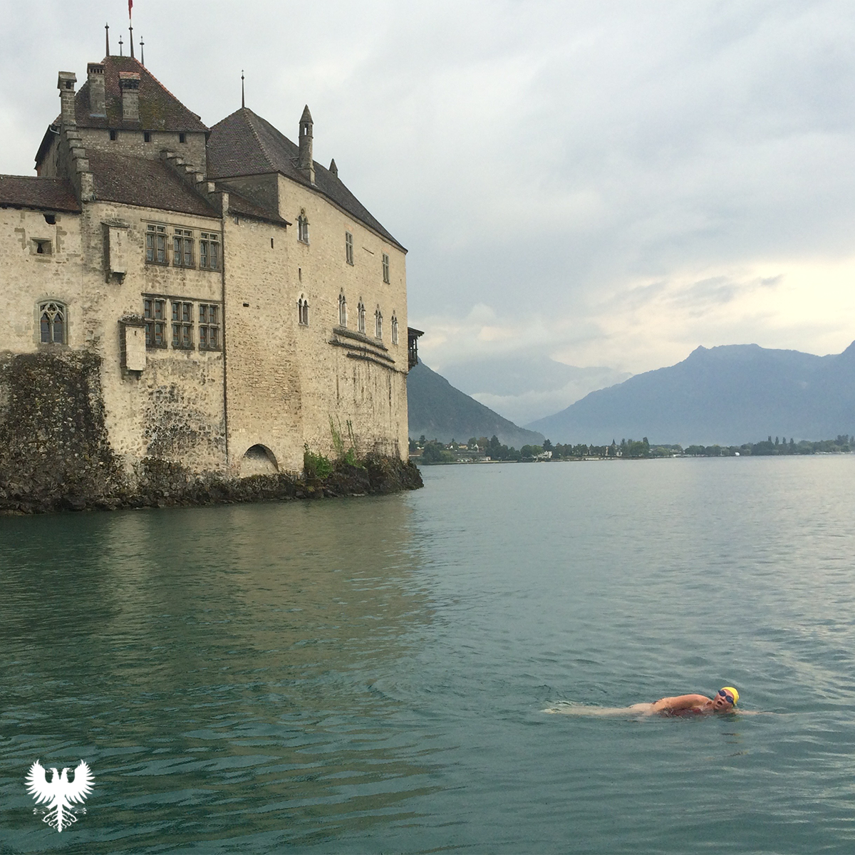 Lake Geneva Swimming Association tweet media