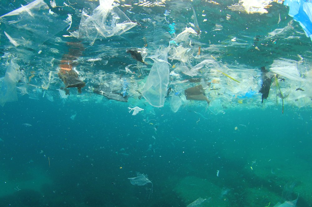 oceana's tweet image. At least 5.25 trillion plastic particles currently float in our oceans. Take the #BreakFreeFromPlastics pledge now: ow.ly/ZVCa30euygZ
