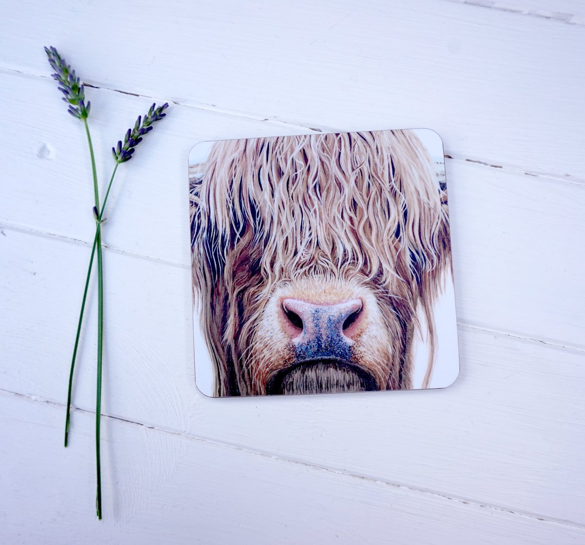 Wraptious's tweet photo. We have some of our favourite Olivia Hicks designs now available as coasters, woop! ☕ https://t.co/8wXZ0hO1mz #art #home https://t.co/PvPU50qpLs