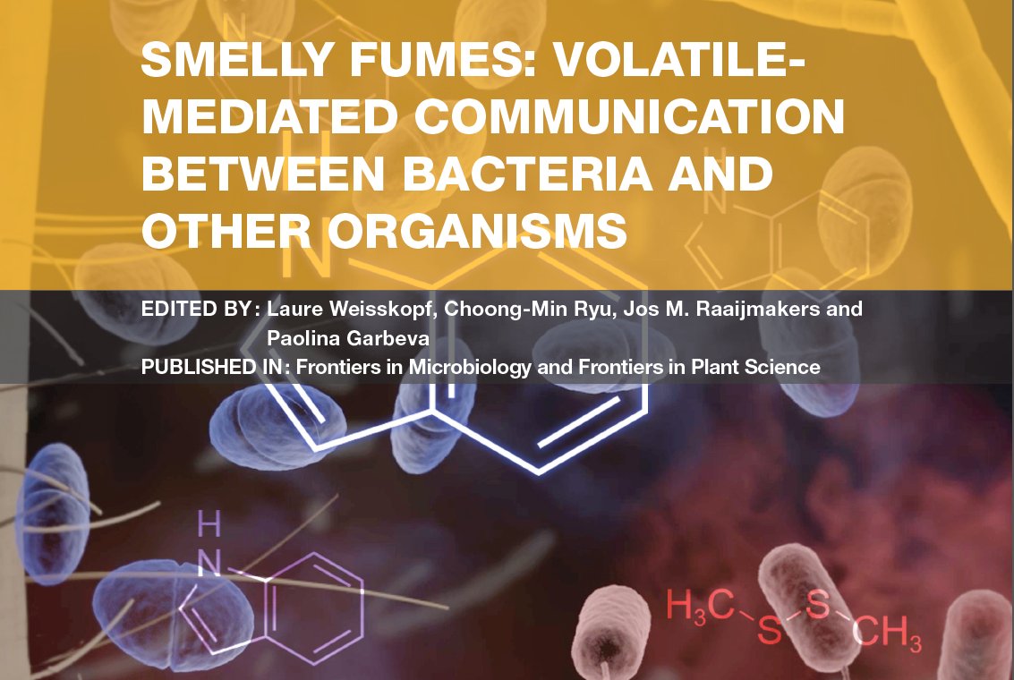 free prokaryotic motility systems a written symposium special issue journal of molecular microbiology and biotechnology 2004