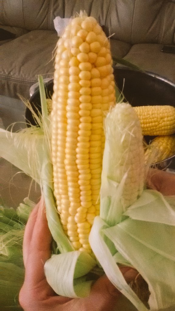 dark_jodi1's tweet image. Nice