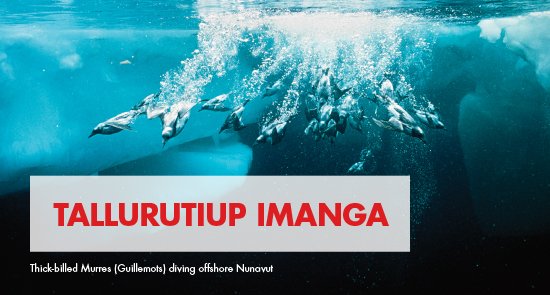 Shell_Canada's tweet photo. Congrats @Qikiqtani_Inuit @can_government @GOVofNUNAVUT &amp; @NCC_CNC on making Canada's largest Nat'l Marine Conservation Area a reality. https://t.co/IDh5QQdoBp