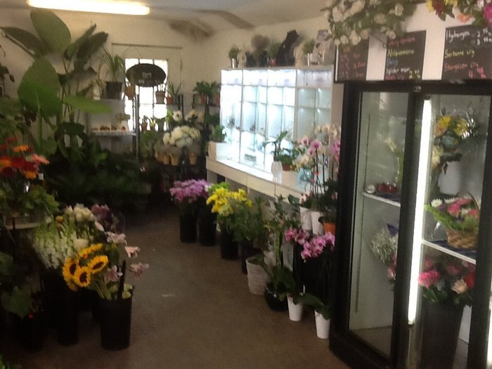 4flowerFirst's tweet photo. Drop into First Flowers and More and meet the new owners. #localfloweshop #newowners https://t.co/oAVXiJCuXH