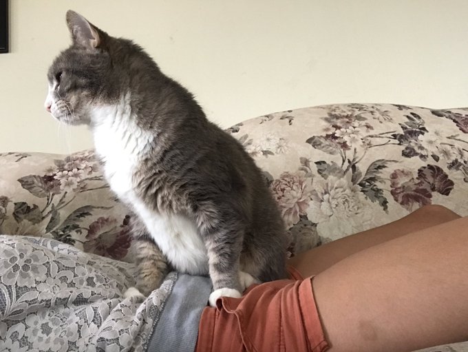 #iWokeUpLikeThis https://t.co/6vxriArLoM<a href="/tag/iwokeuplikethis"class="tags">#iWokeUpLikeThis</a>